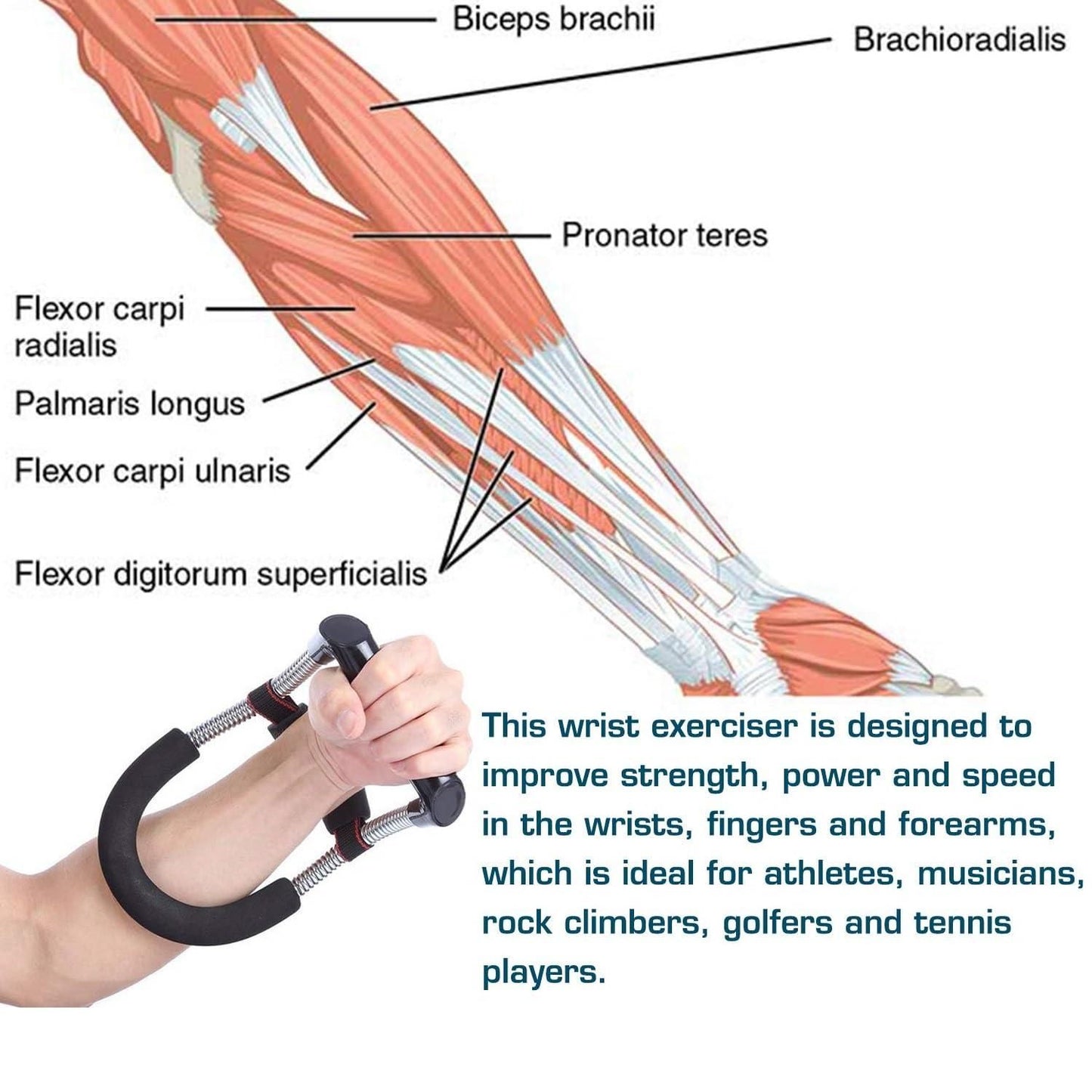 Adjustable Wrist Exercise Equipment